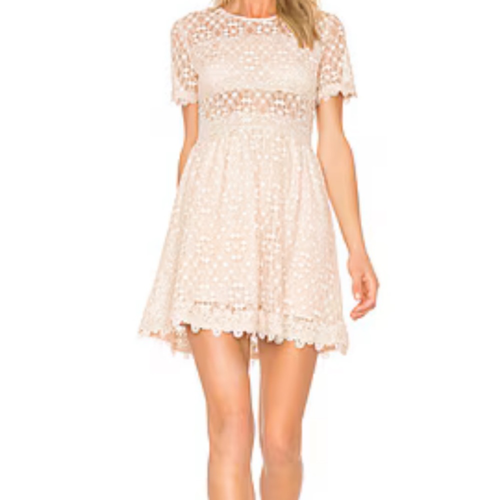 NWOT J.O.A. Lace Fit and Flare Dress